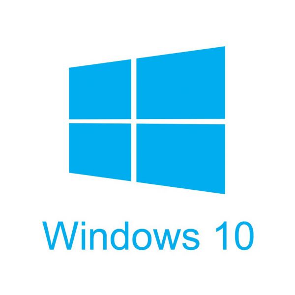 Windows 10 Professional 64 bit